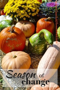 Seasons (1)