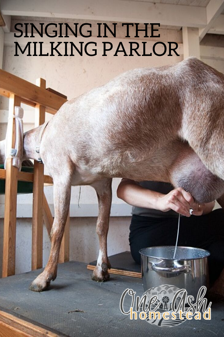 singing in the milk parlor-2
