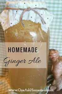 ginger ale