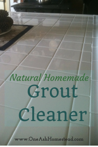 Natural HomemadeGrout Cleaner