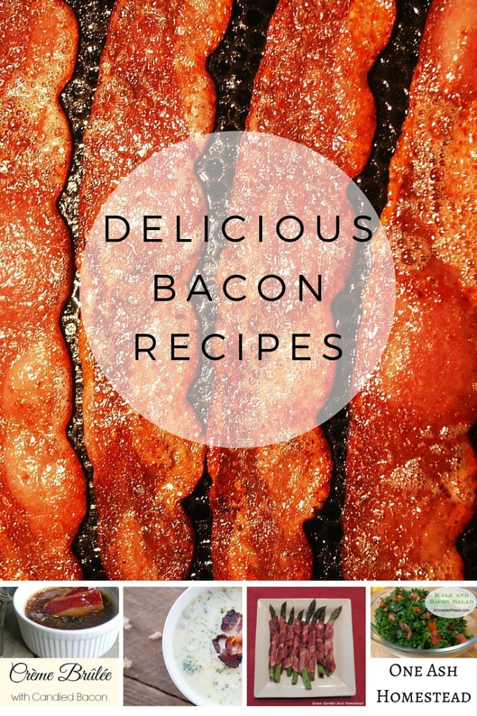delicious bacon recipes (1)