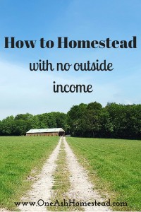 How to Homestead