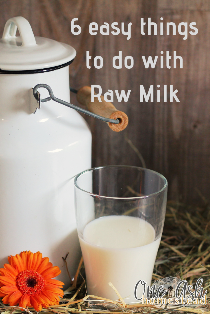 What to do with Raw Milk