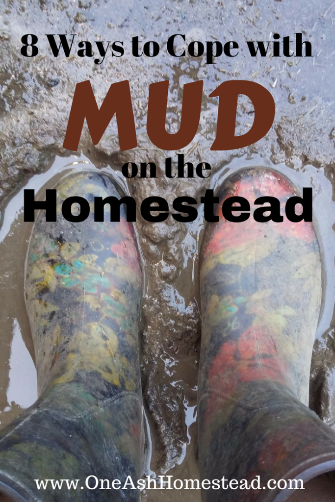 MUD 8