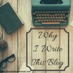 Why I Write This Blog