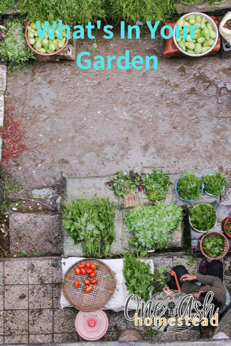 What’s in Your Garden?