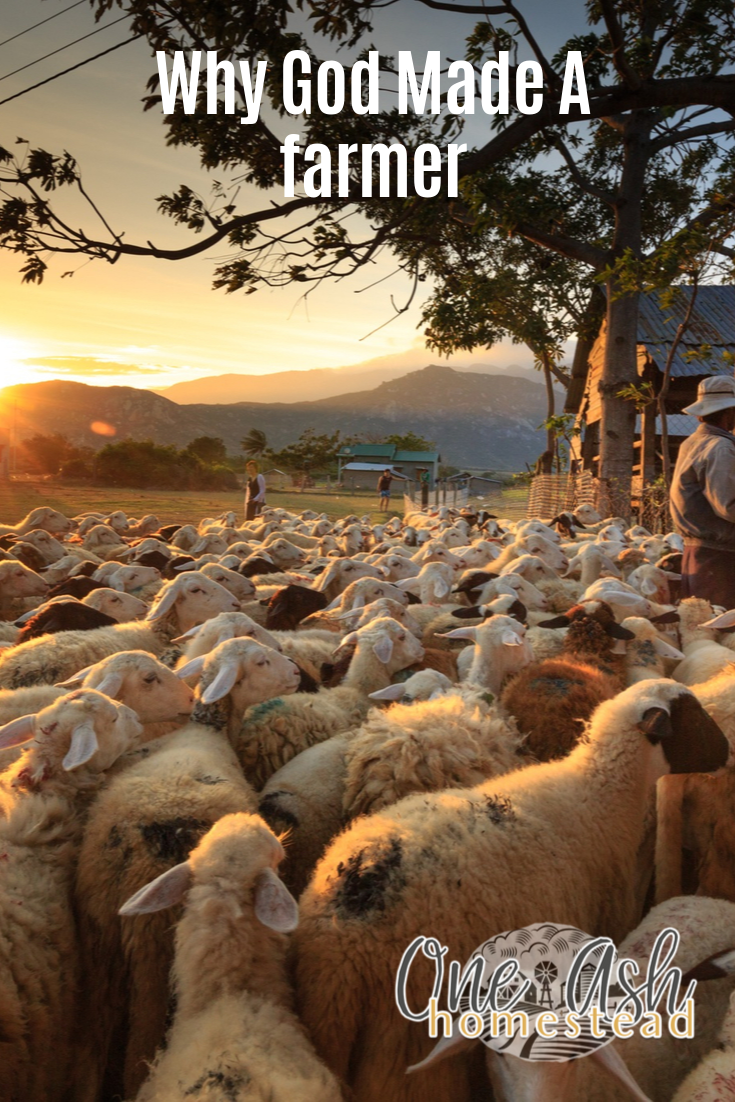 Farmer