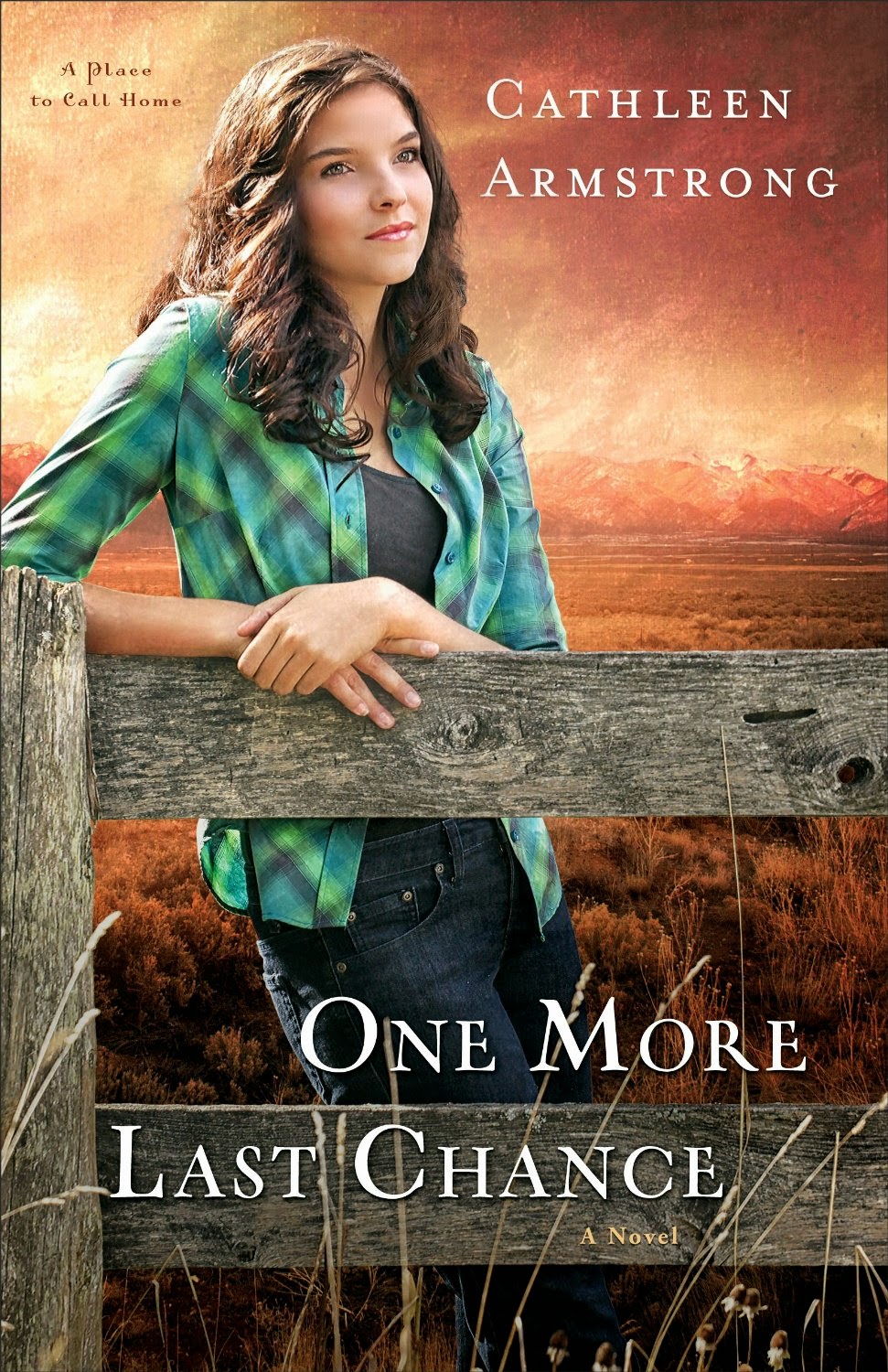 Book Review- One More Last Chance