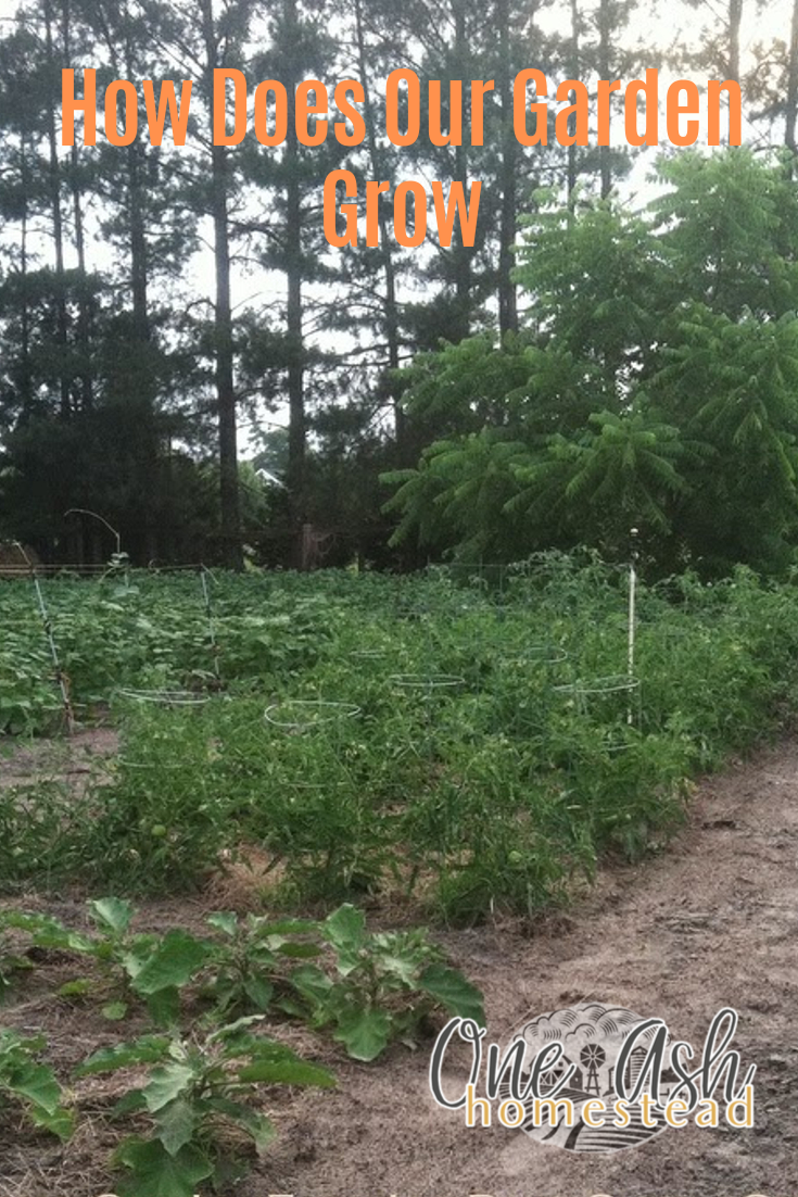 How Does Our Garden Grow?