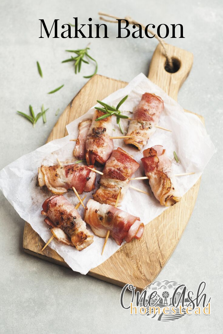 Makin’ Bacon
