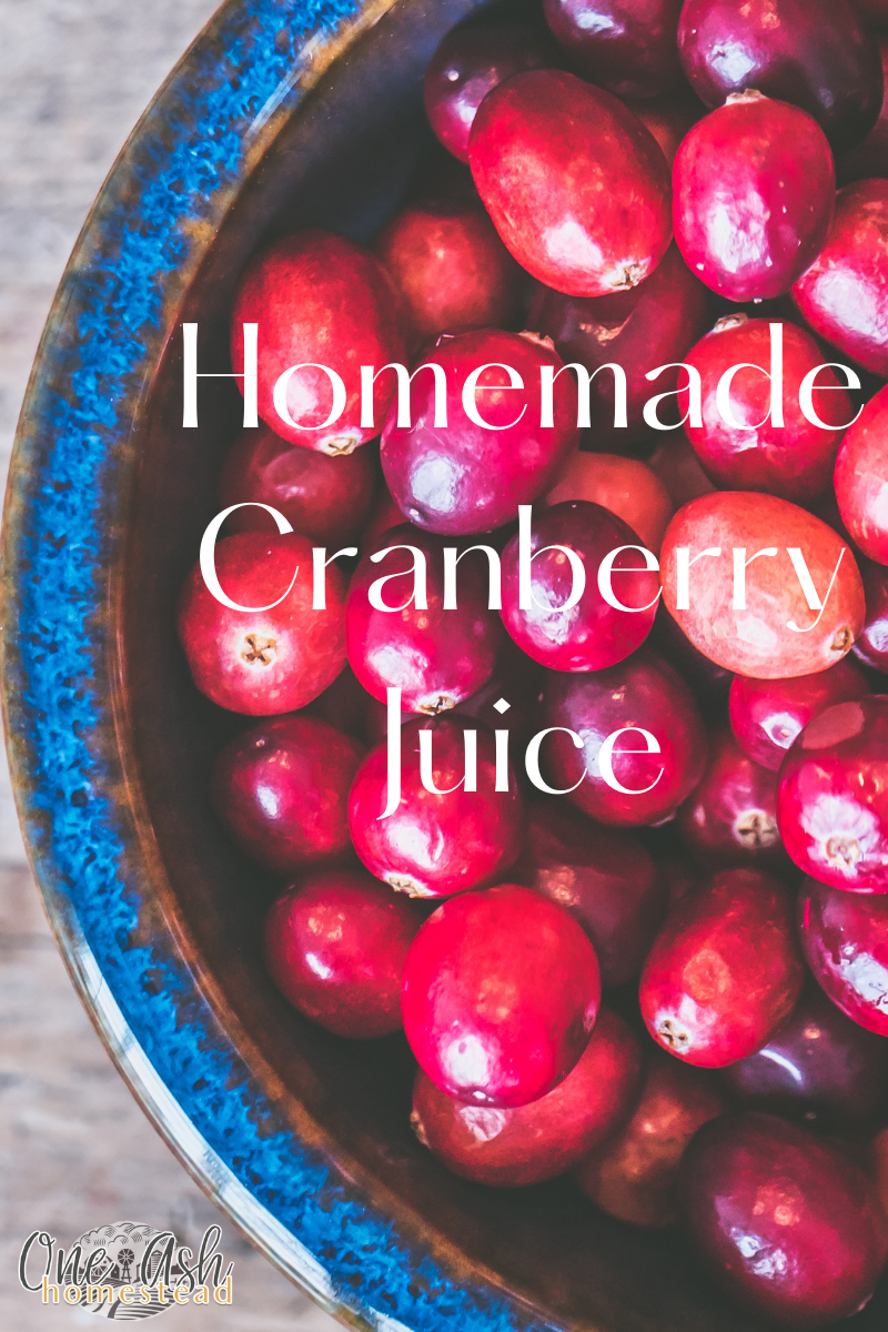 Homemade Cranberry Juice