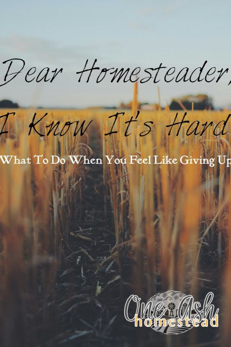Dear Homesteader- I Know It’s Hard