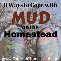 8 Ways to Cope with Mud On The Homestead