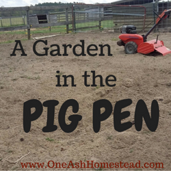 A Garden in the Pig Pen