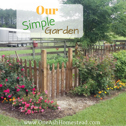 Our Simple Garden