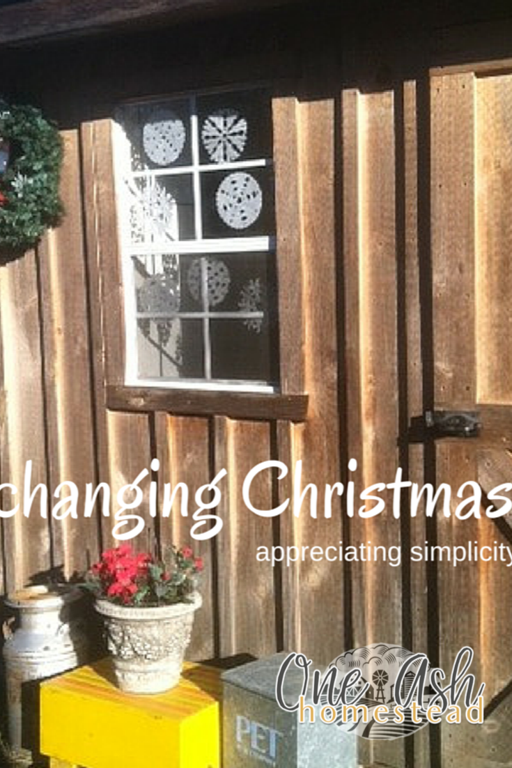 Changing Christmas ~ appreciating simplicity