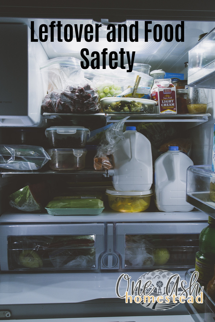 Leftovers and Food Safety