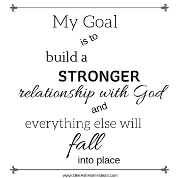 our New Years goal