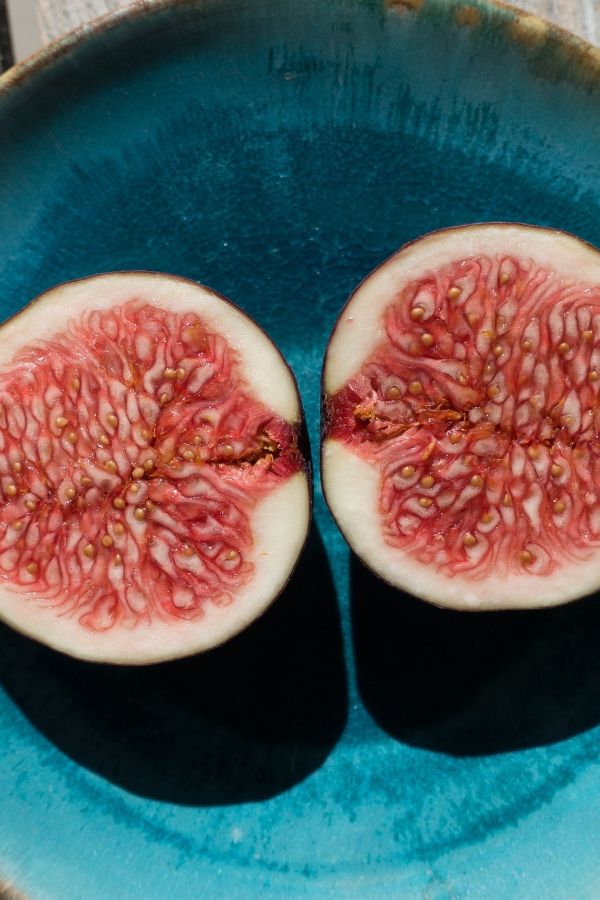 Fig Season