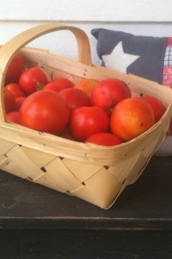 Time for Tomatoes!  Time for Salsa!