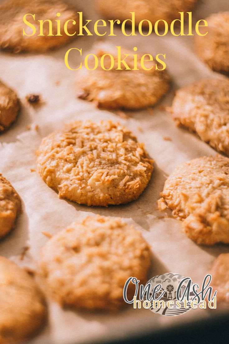 Easy Snickerdoodle Cookies