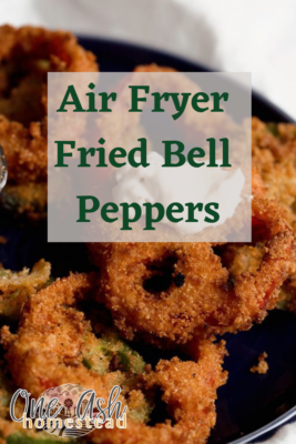 Air Fryer Fried Green Bell Peppers