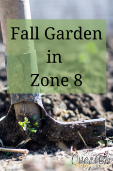 Fall Garden in Zone 8