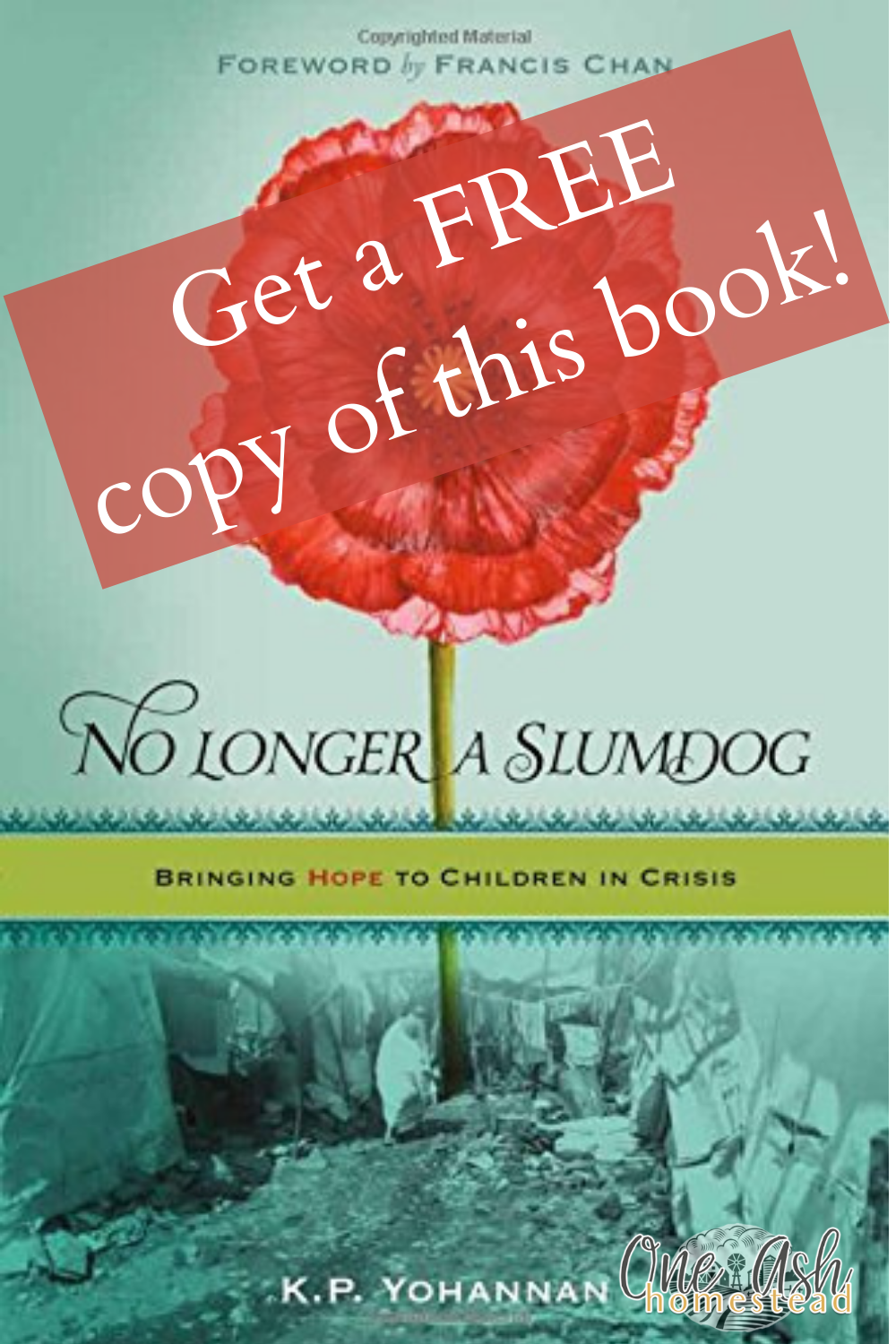 No Longer A Slumdog- FREE copy for You!